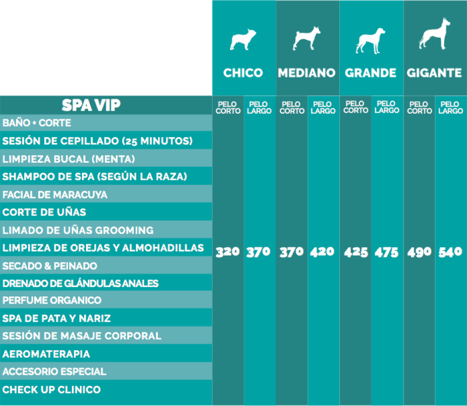 Perrukeria MX Lista SPA VIP